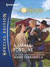 Cover image for A Small Fortune